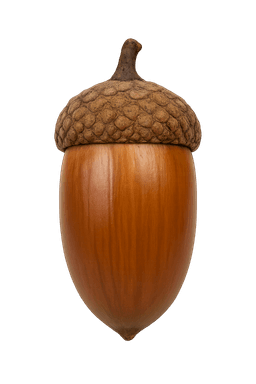 Image of an acorn